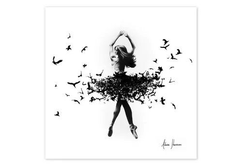 Posterlounge Wandbild Vogeltanz, Ashvin Harrison, erhältlich als Poster, Leinwandbild, Wandsticker oder Acrylglasbild