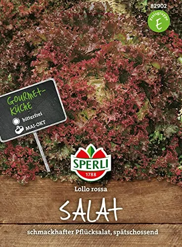 Sperli Premium Lollo Rosso | Salat Samen | Pflücksalat Samen | Schnittsalat Samen | Salatsamen 82902