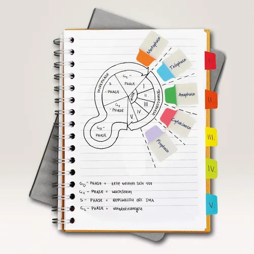 AVERY Zweckform Haftmarker 2,5 x 3,8 cm 74759 von Avery Zweckform