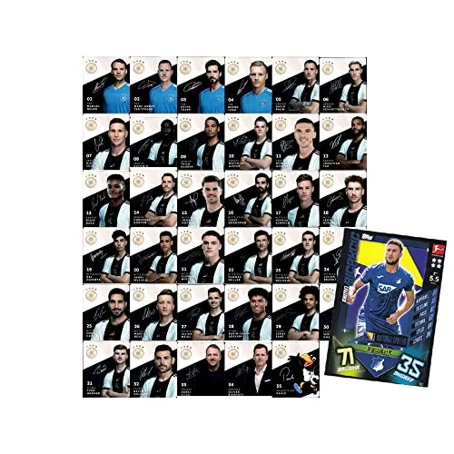 REWE WM 2022 Sammelkarten - 1 Komplettsatz