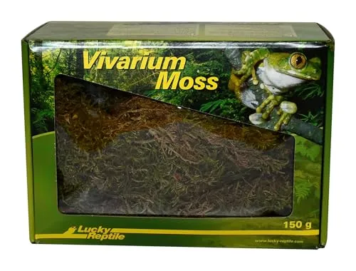 Lucky Reptile Vivarium Moos von Lucky Reptile