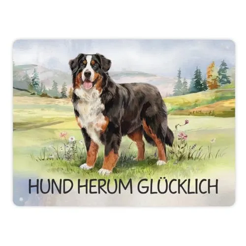 Berner Sennenhund auf der Wiese Metallschild XL in 21x28 cm mit Spruch Hund herum Glücklich Aquarelldesign zeigt Berner Sennenhund auf grasbewachsenem Feld