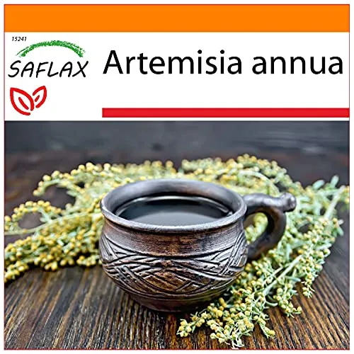 SAFLAX - Garden in the Bag - Heilpflanzen - Chinesischer Beifuß - 250 Samen - Mit Anzuchtsubstrat im praktischen, selbst aufstellenden Beutel - Artemisia annua