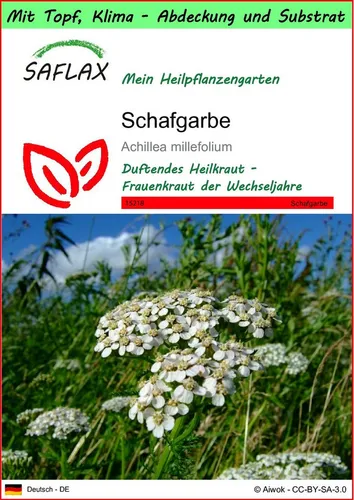 SAFLAX Blumensamen SAFLAX - Garden to go - Schafgarbe