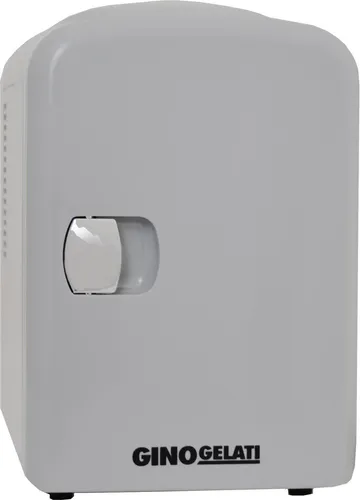 Liter Mini Kühlschrank & Warmhaltebox 12V + 220V Kühlbox 4