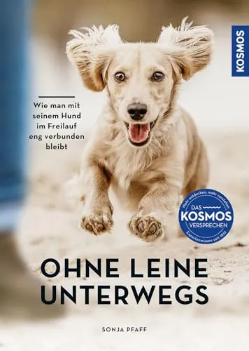 Ohne Leine unterwegs: Wie man mit seinem Hund im Freilauf eng verbunden bleibt - Hundeerziehung & -pflege, erlerne effektive Methoden für eine vertrauensvolle Bindung und sicheren Freilauf mit deinem Vierbeiner.