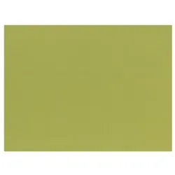 PAPSTAR 100 Tischsets, Papier 30 cm x 40 cm olivgrün