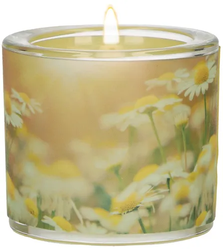 LichtMoment Glaswindlicht - begleitet und behütet BB636042 Windlicht