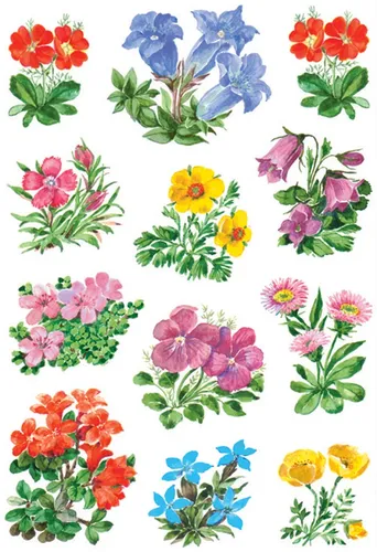HERMA 3582 Aufkleber Blumen klein groß - 36 Stück Pflanzen Sticker mit Veilchen Vintage Motiv, ideal für kreative Dekoration und Bastelprojekte