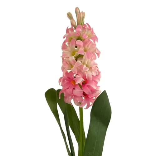 Floratexx Künstliche Hyazinthe 44cm pink ROSA, Künstliche Blumen Kunstblume Osterdeko Frühlingsdeko, 41050 08