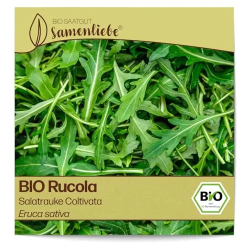Samenliebe BIO Rauke Samen Salatrauke Coltivata mild nussiges Rucola Salatkraut grün 300 Samen samenfestes Kräuter Saatgut für Gewächshaus Freiland und Balkon BIO Kräutersamen winterhart