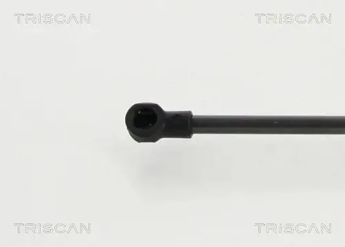 Triscan Gasfeder, Koffer-/Laderaum 8710 292101