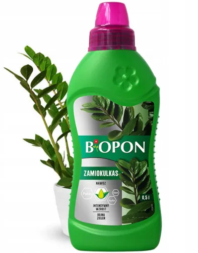 Dünger für Glücksfeder Zamioculcas Zamiifolia 500ml