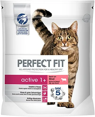 Perfect Fit Cat Trocken Active 1 plus reich an Rind, 750 g