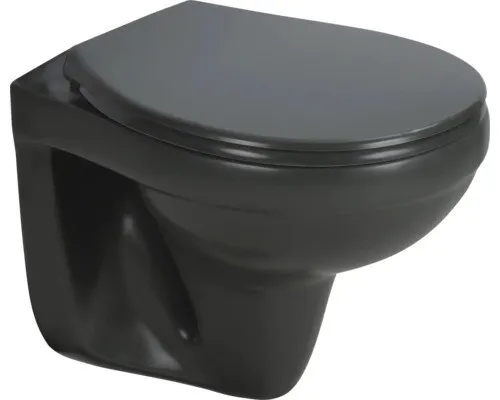 Sanicomfort Wand-WC anthrazit matt spülrandlos - Einteilige Toilette mit spülrandloser Technologie für maximale Hygiene und einfache Reinigung. Das elegante Design in anthrazit matt passt perfekt in moderne Badezimmer.