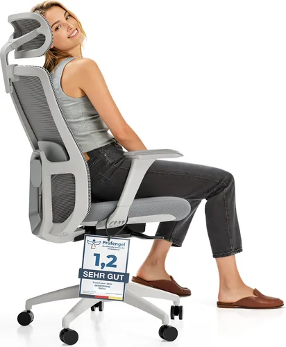 Desktronic Verstellbarer Ergonomischer Bürostuhl mit Lendenwirbelstütze - Bürostuhl mit atmungsaktiver Netzrückenlehne für optimale Belüftung, unterstützt eine gesunde Körperhaltung und reduziert Rückenbeschwerden – ideal für lange Arbeitstage.