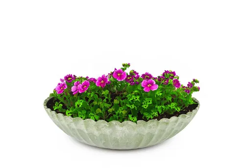 matches21 HOME & HOBBY Blumentopf Runde Pflanz-Schale gewellt für draussen grün marmoriert 22 cm (1 St), Wetterfeste Blumen-Schale als moderne Outdoor Gartendeko Grabschmuck