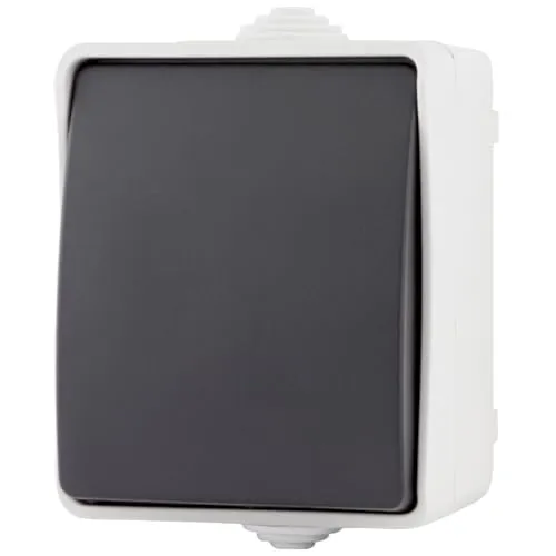 EverFlourish Wechselschalter AP von EverFlourish