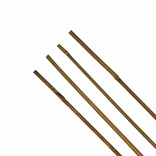 XCLOU GARDEN Tonkinstab, Bambusstab, einzeln, ca. Ø 6/8 mm x 75 cm