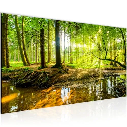 Bilder Wald Landschaft Wandbild Vlies - Leinwand Bild XXL Format Wandbilder Wohnzimmer Wohnung Deko Kunstdrucke Grün 1 Teilig - MADE IN GERMANY - Fertig zum Aufhängen 611712a