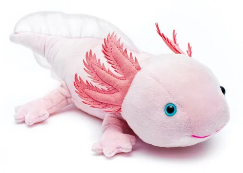 Teddys Rothenburg Kuscheltier Axolotl rosa 30 cm liegend Plüschaxolotl Stofftier (Plüschtier, Stoffaxolotl)