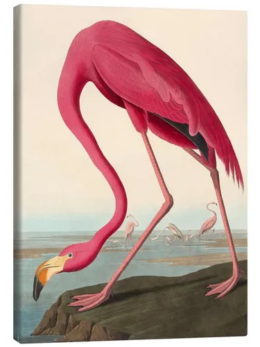Poster & Bildende Kunst Pink von Posterlounge