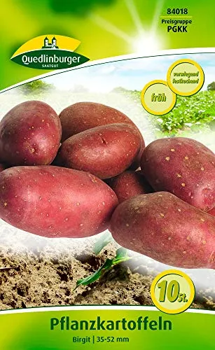 Quedlinburger Saatgut von Quedlinburger