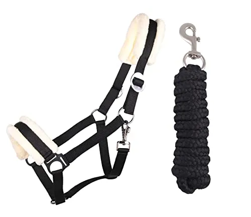 Halfter Schwarz von ARBO-INOX