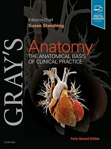 Produktbild Gray's Anatomy: The Anatomical Basis of Clinical Practice