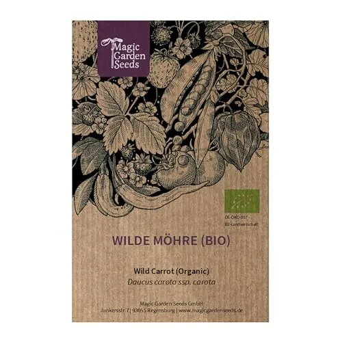 Wilde Möhre (Daucus carota ssp. carota) ca. 1000 Bio-Samen | gute Bienenpflanze | Cool Flower | zweijährige Wildblume | Schnittblume | für den naturnahen Garten | Wildgemüse