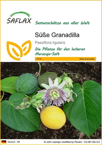 SAFLAX Blumensamen SAFLAX - Samen - Süße Granadilla
