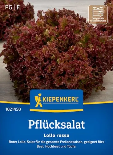 Kiepenkerl Pflücksalatsamen Lollo rossa 1021450 - Schnell wachsender, schossfester Salat für große Erträge, aromatische, rot-braune Blätter, leicht nussig
