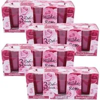 HS Candle Duftkerzen Classic 12er Pack Wilde Rose