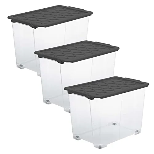 Rotho Evo Safe Keeping 3er-Set Aufbewahrungsbox 65l von Rotho