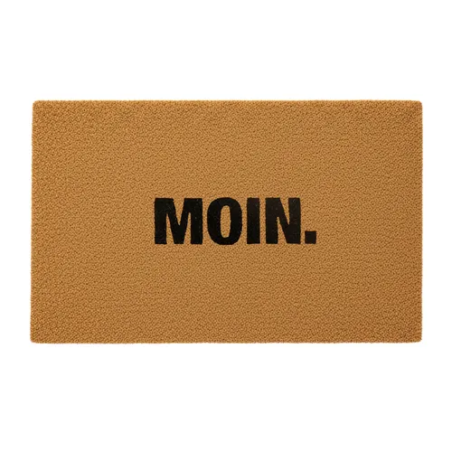 Fußmatte Kokos Schuhmatte Türvorleger Schuhteppich Schmutzteppich 80x50 cm