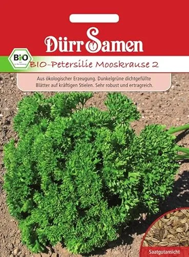 Bio Petersilie Samen Mooskrause 2 Petersiliesamen ca 2500 Korn Küchenkräuter Kräutersamen Saatgut Mehrjährig Balkon Garten Hochbeet Kübel Dürr Samen
