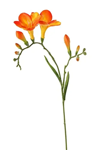 artplants.de Kunst Freesie MARUSHA, orange, 65cm von artplants
