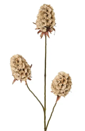 artplants Deko Zweig Bartnelke MARDUEN, beige, 75cm - Künstlicher Bartnelke-Zweig in Beige, 75cm hoch. Perfekt zur stilvollen Dekoration und für kreative Arrangements in Ihrem Zuhause.