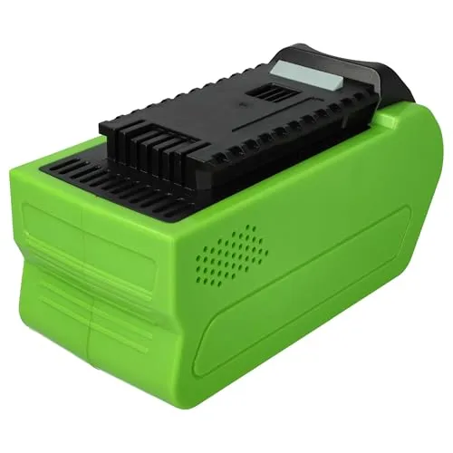 vhbw Akku kompatibel mit Greenworks G40ACK2