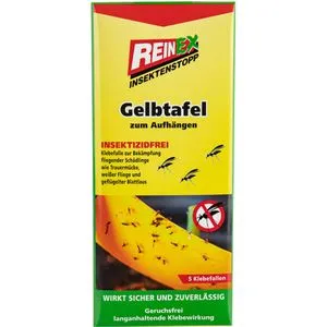 Fliegenfänger Reinex Insektenstop Gelbtafel 5 Stück bekannt und bewährt, Klebe Fliegenfalle für Innen und Außen 20376