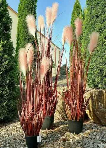 Künstliches Pampasgras WERNHILD – Rotes Kunstgras für Dekoration - Dekoratives, künstliches Pampasgras in leuchtendem Rot, ideal für Innenräume. Mit einer Höhe von 90 cm bringt es Farbe und Stil in Ihr Zuhause.