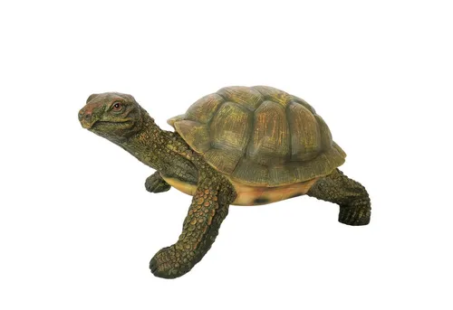 Online-Fuchs Gartenfigur Schildkröte für außen geeigent Gartenteich Deko Figur, Maße: 32 x 22 x 15 cm witterungsbeständig Garten Terrasse