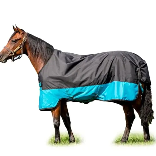 Horseware Mio T/O Med 200g Turnout Decke - Wasserdicht und stilvoll - Wasserdichte Turnout Decke von Horseware, ideal für kalte Tage. Mit 200g Füllung bietet sie optimalen Schutz und Komfort für Ihr Pferd.