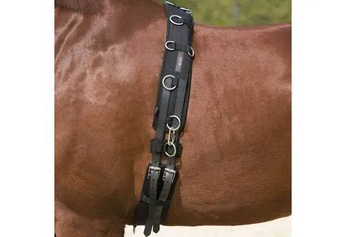 Kieffer Sattelgurte Longiergurt schwarz - Vollblut - Pferdesattelgurte mit weichem Widerristkissen für hohen Tragekomfort und mehrfach verstellbaren Bauchstrippen. Ideal für eine optimale Anpassung und Sicherheit beim Longieren.