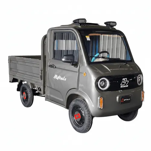 Elektro Lastenrad Vierrad Mini LKW 40 km/h