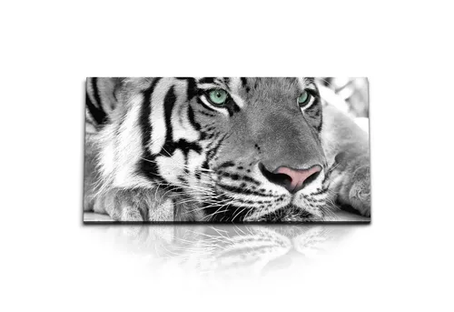 Sinus Art Leinwandbild Kunstdruck Bilder 120x60cm Tierfotografie Tiger Schwarz Weiß Raubkatze, (1 St)