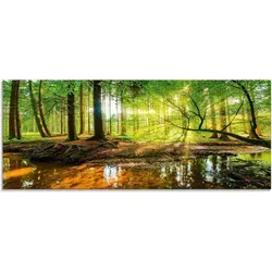 ARTland Glasbild Wald mit Bach 125x50 cm in grün von ARTland