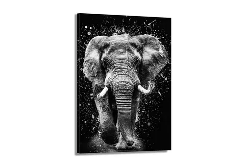 Artedinoi Leinwandbild Tiere aus Afrika Elefant Wandbild Leinwandbild Deko Kunst XL