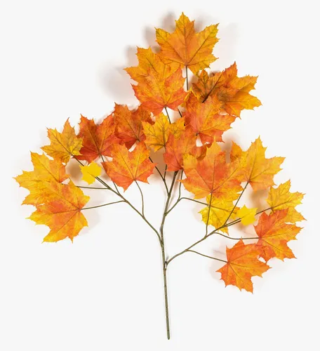 Kunstzweig Ahorn SILVO – Orange-Gelb, 80 cm - Attraktiver Kunstzweig aus Kunststoff in leuchtendem Orange-Gelb, ideal für die kreative Dekoration. Perfekt für den Indoor-Bereich und pflegeleicht.