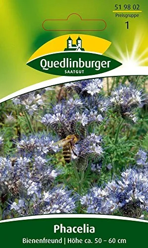 Quedlinburger Saatgut Phacelia, Bienenfreund Samen